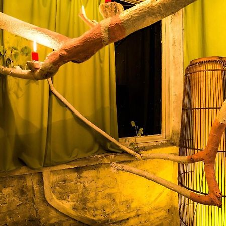Dao Anh Khanh Tree House Hanoi Luaran gambar