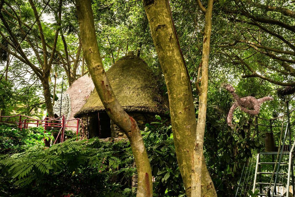 Dao Anh Khanh Tree House Hanoi Luaran gambar