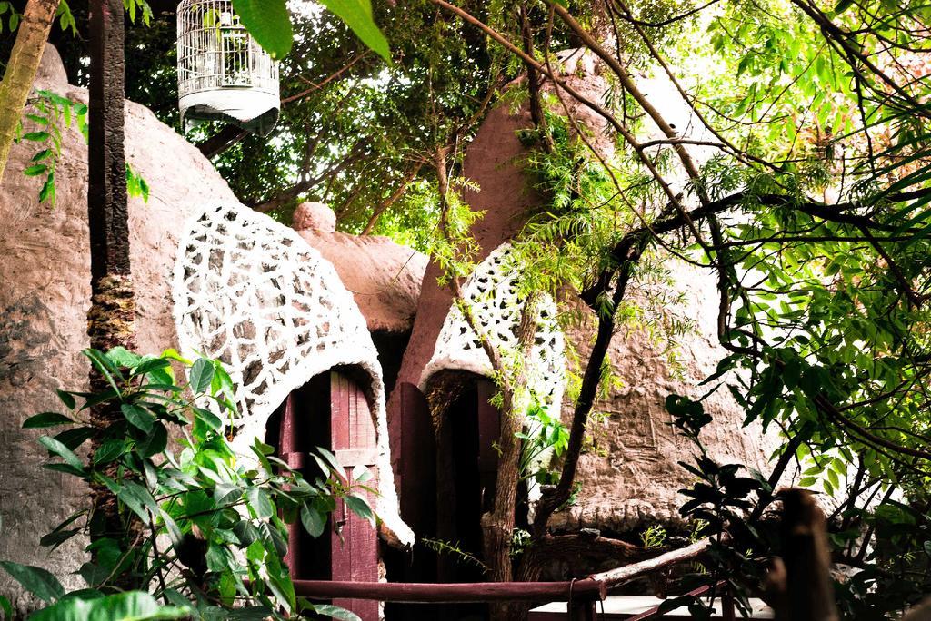 Dao Anh Khanh Tree House Hanoi Luaran gambar
