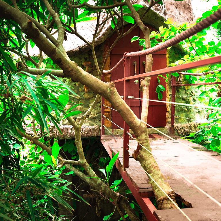 Dao Anh Khanh Tree House Hanoi Luaran gambar