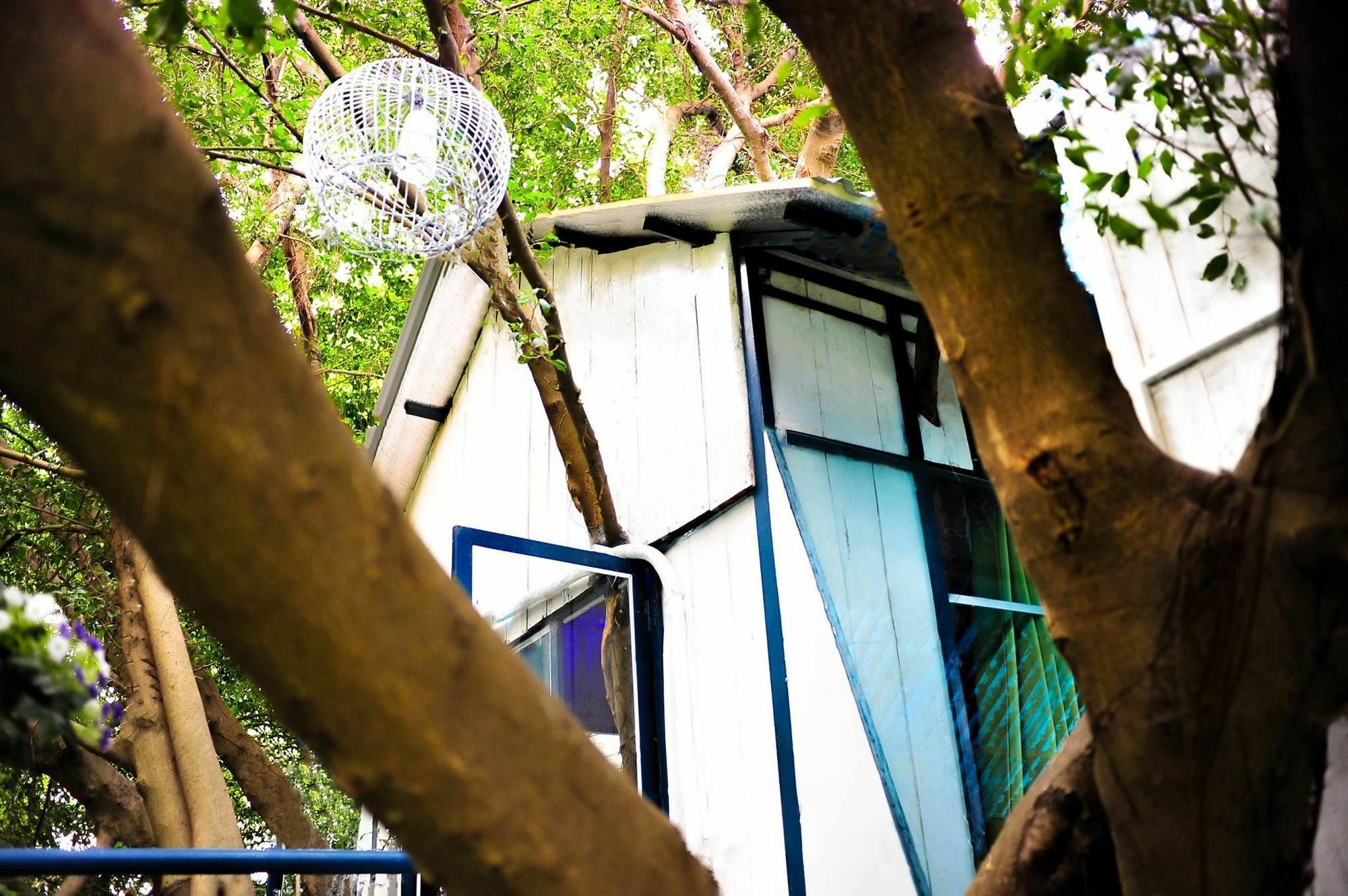 Dao Anh Khanh Tree House Hanoi Luaran gambar