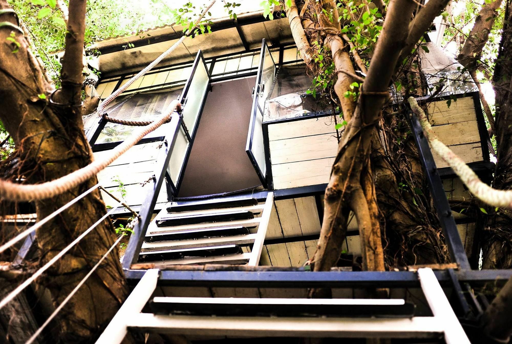 Dao Anh Khanh Tree House Hanoi Luaran gambar